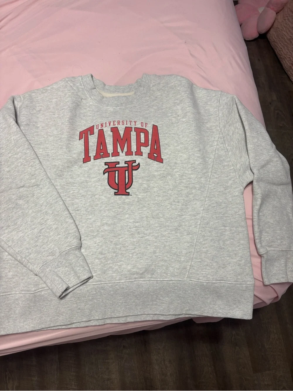 Gray Crewneck Sweatshirt with Red Logo